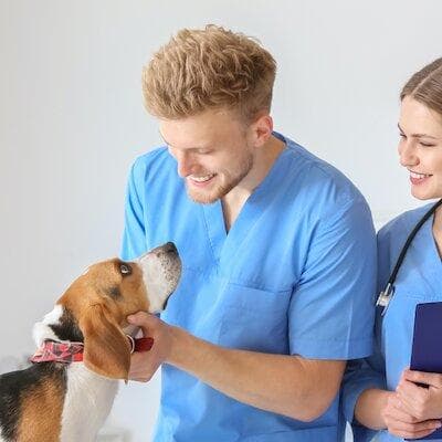 Dog with Veterinarian